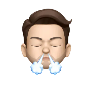 Eli Gundry Memoji